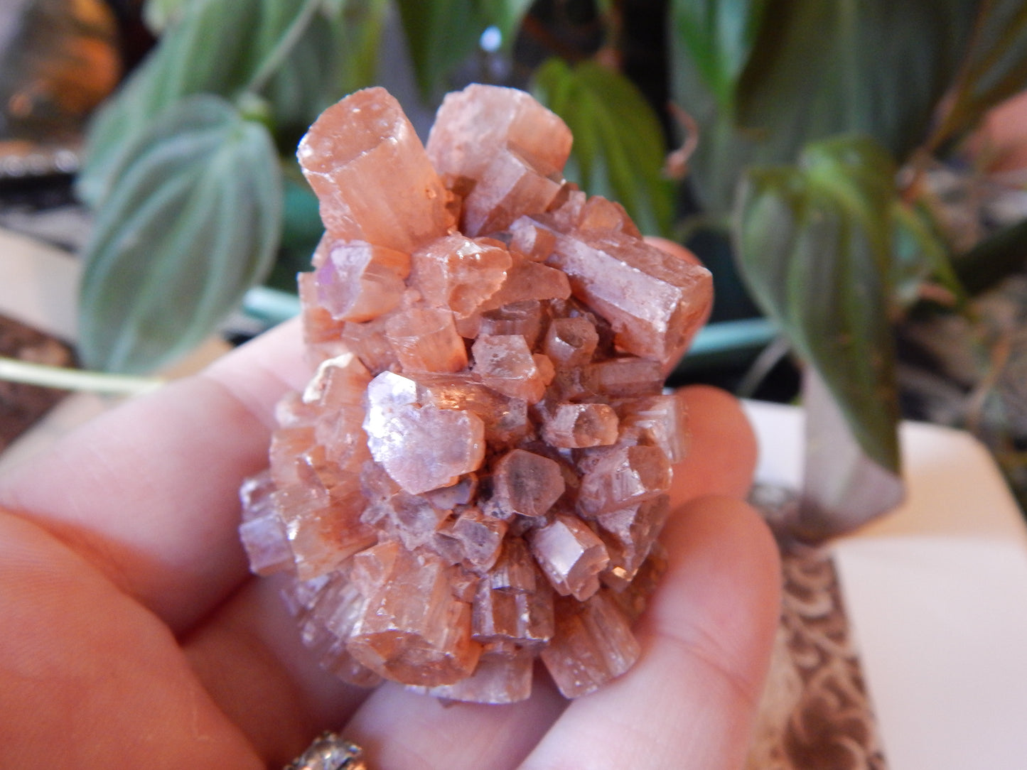 Aragonite Cluster