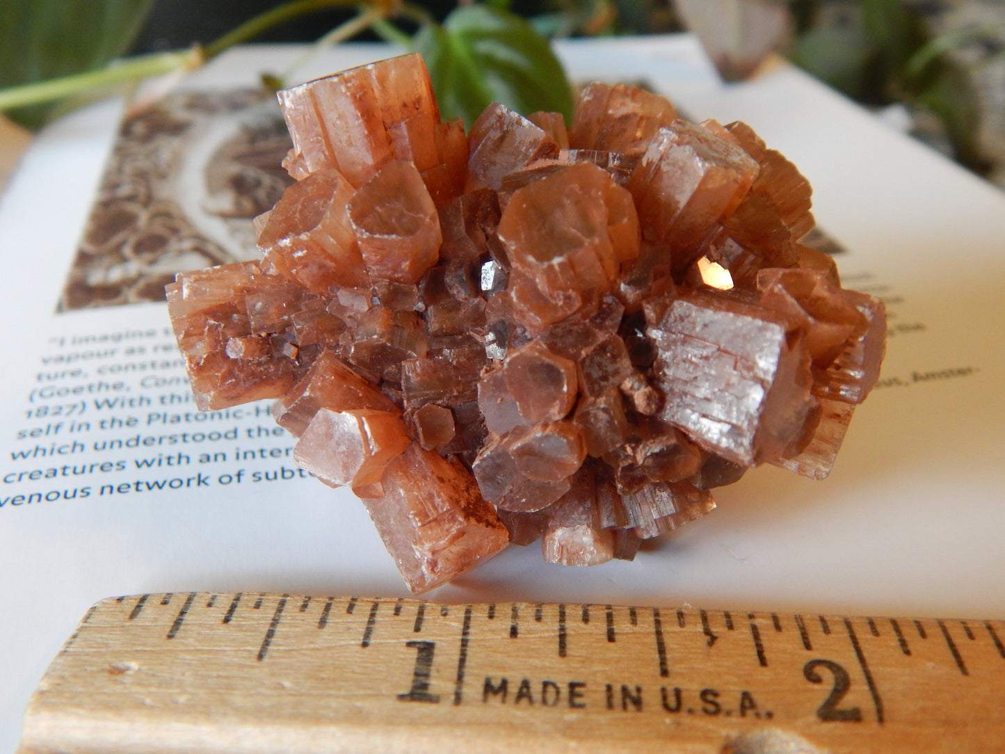 Aragonite Cluster