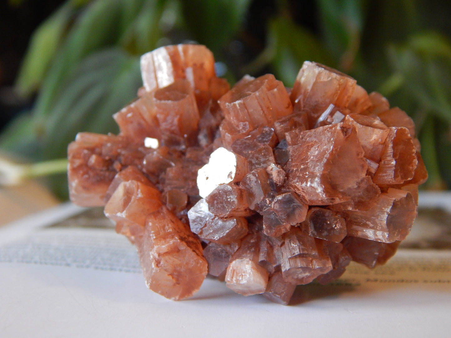 Aragonite Cluster