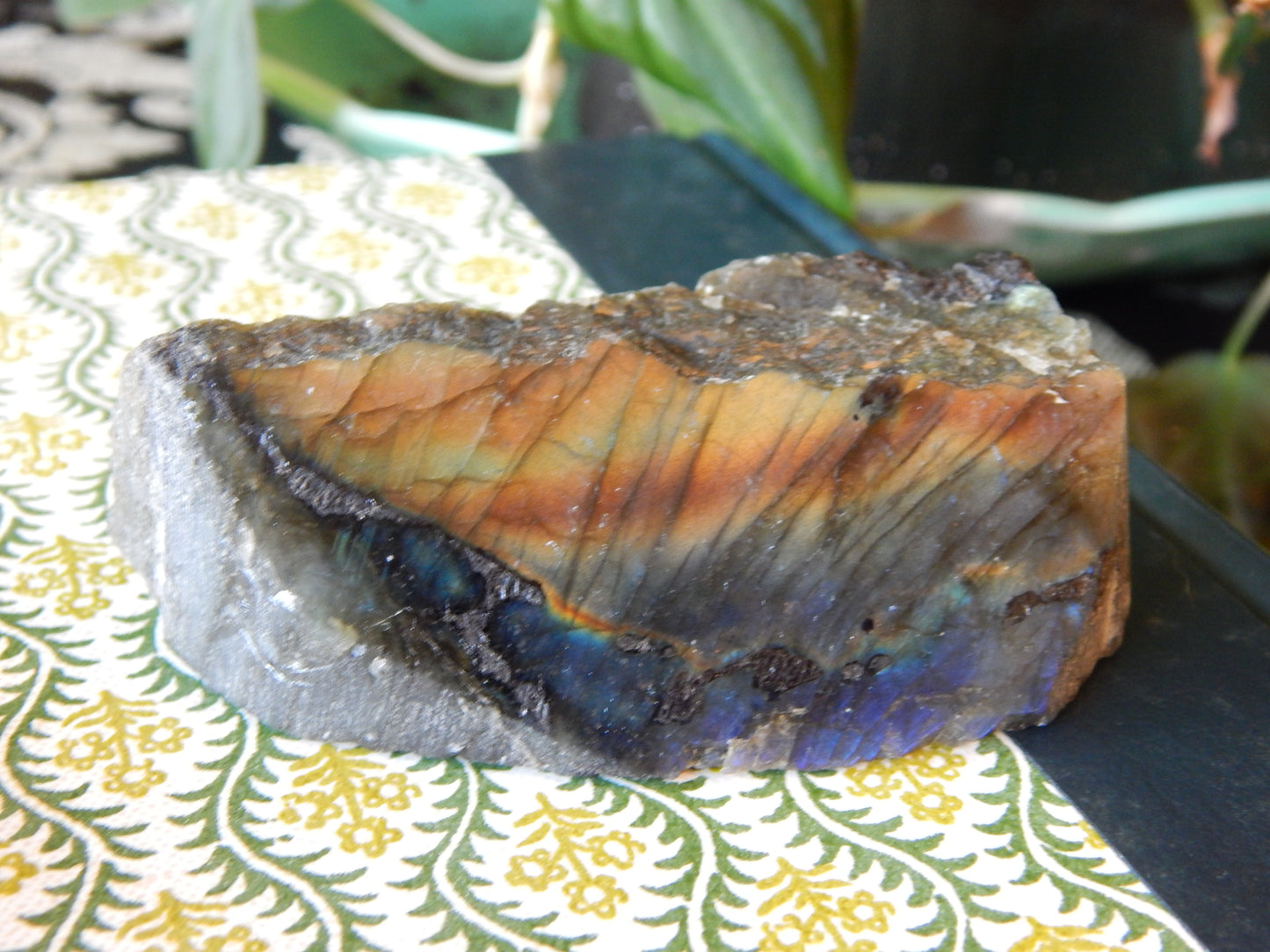 Front Polished Rainbow Labradorite Specimen