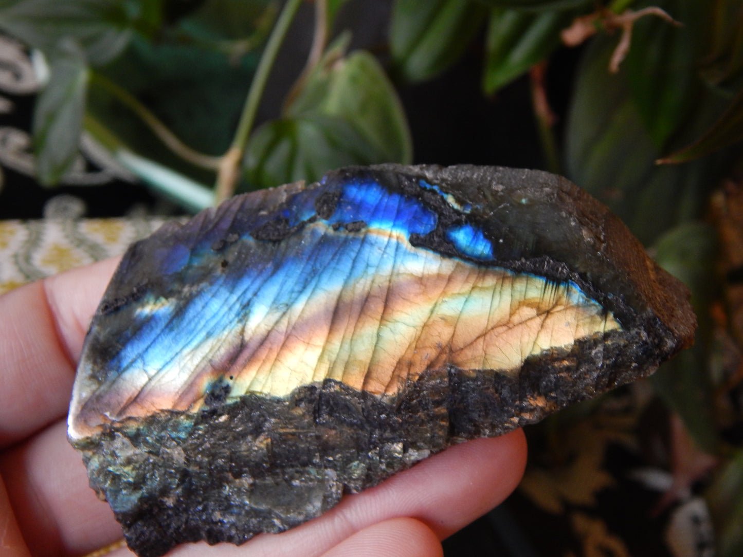 Front Polished Rainbow Labradorite Specimen