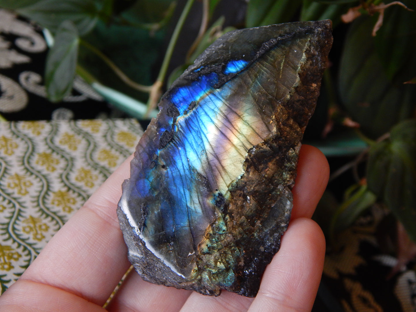 Front Polished Rainbow Labradorite Specimen