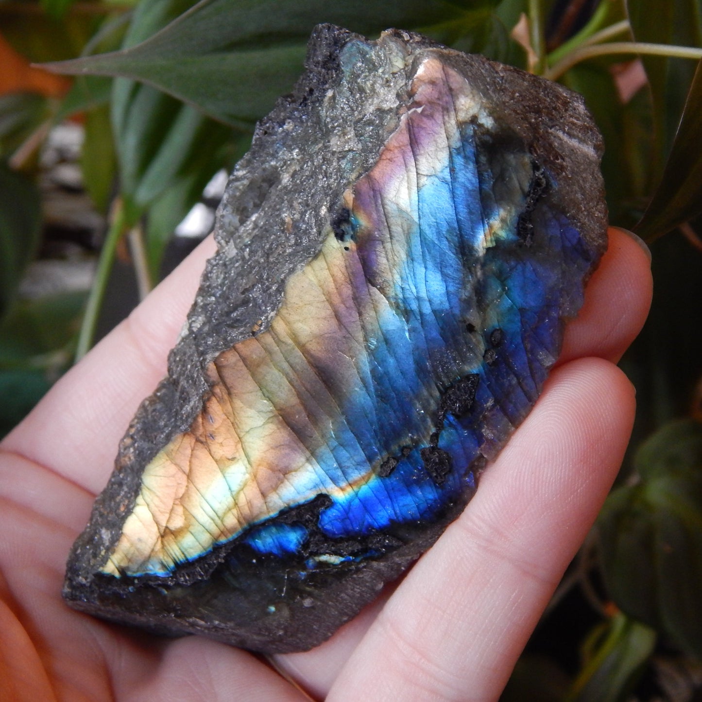 Front Polished Rainbow Labradorite Specimen