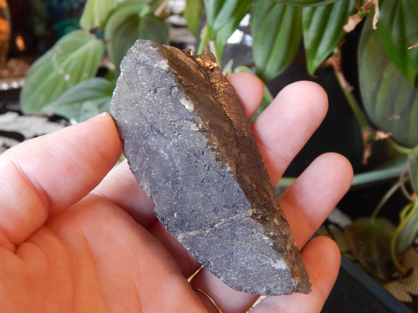 Front Polished Rainbow Labradorite Specimen