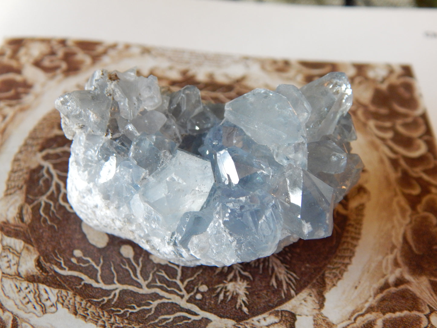 Ancient Blue Celestite Cluster Specimen