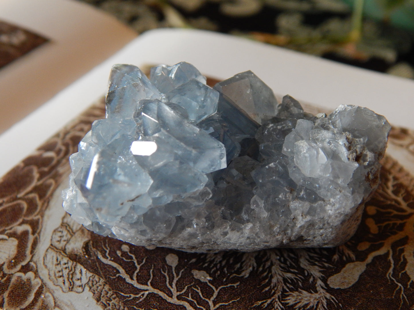 Ancient Blue Celestite Cluster Specimen