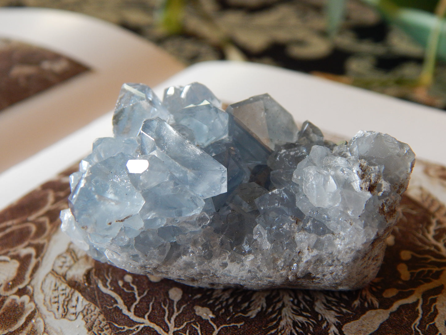 Ancient Blue Celestite Cluster Specimen