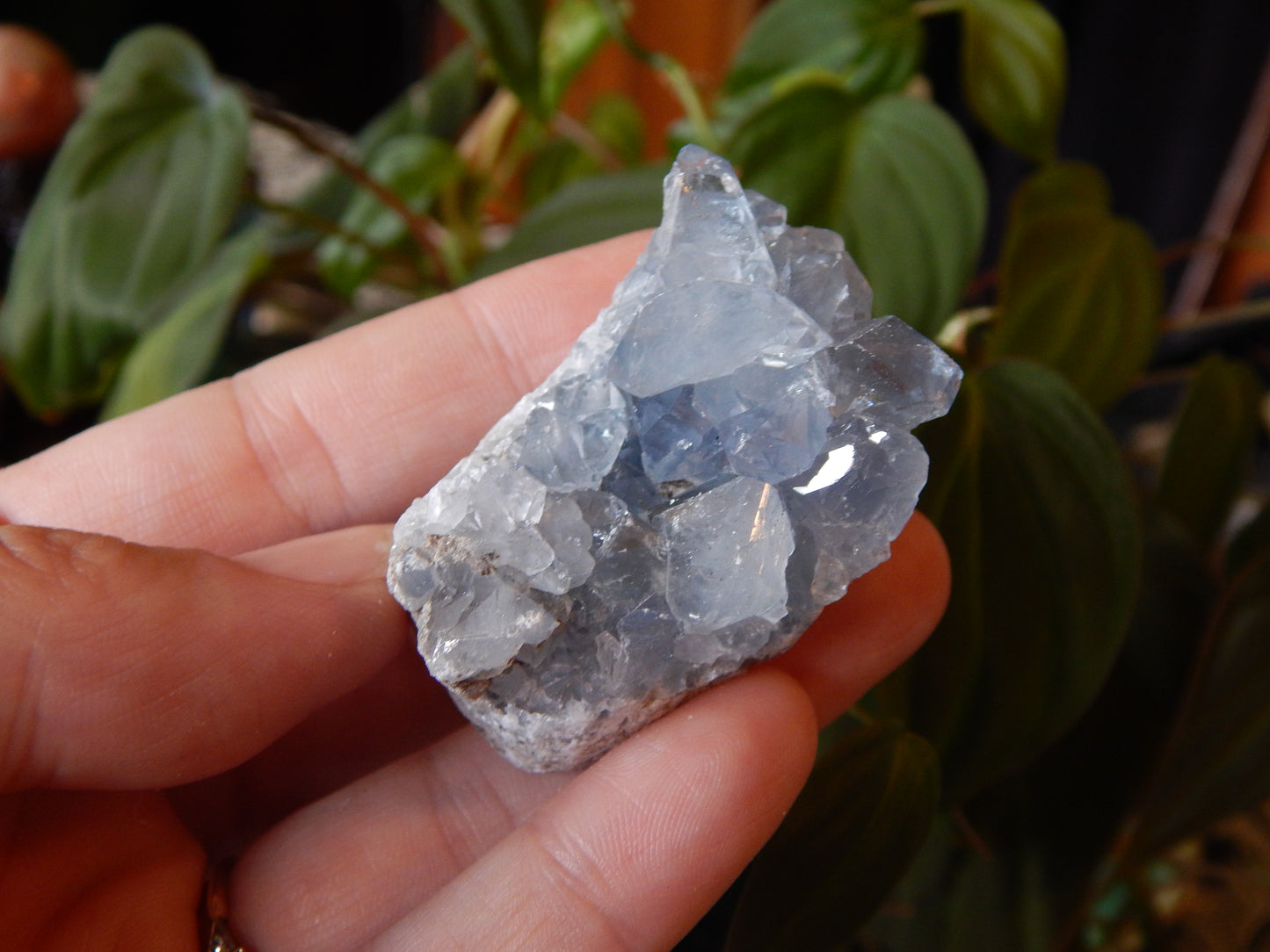 Ancient Blue Celestite Cluster Specimen