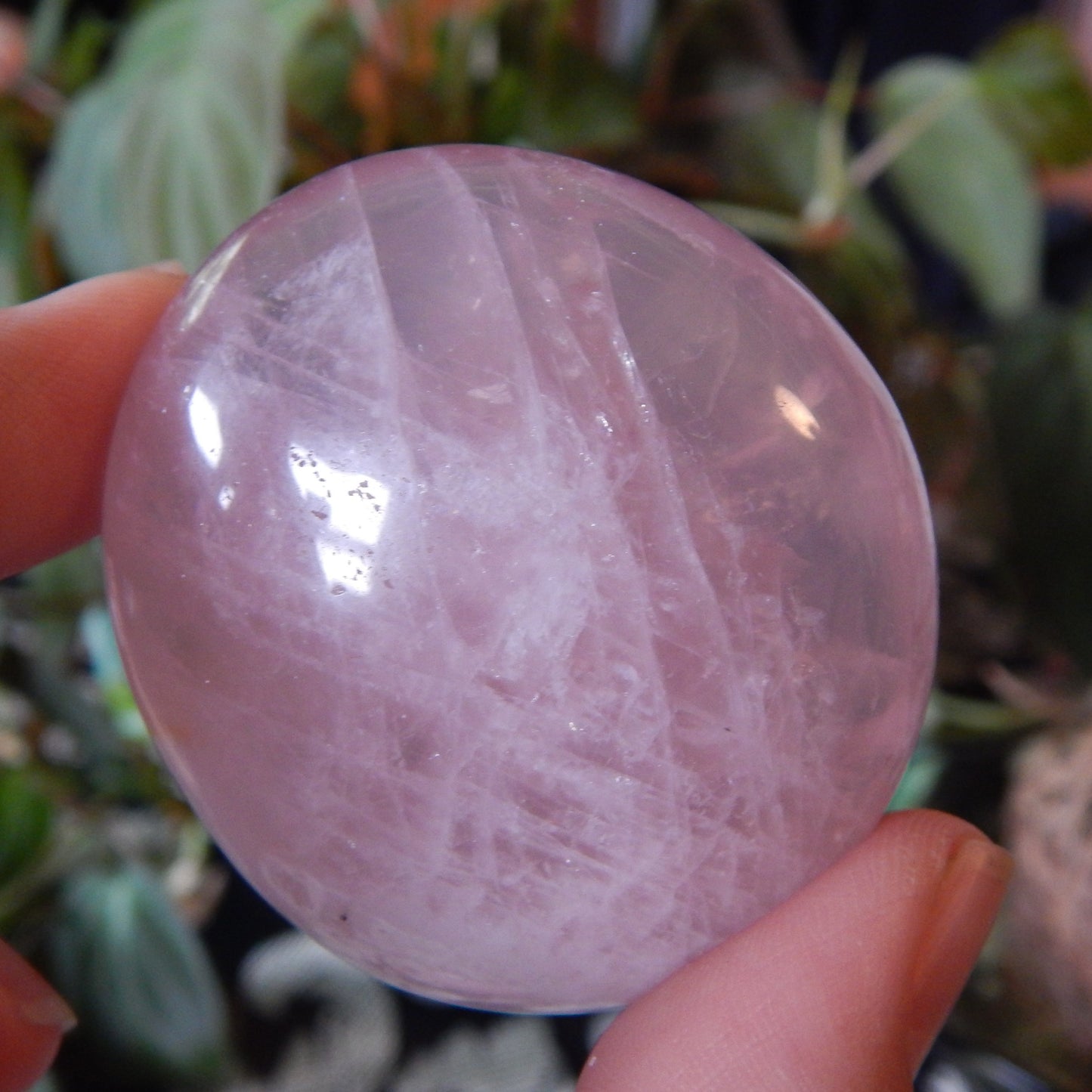 Rose Quartz Palm Stone