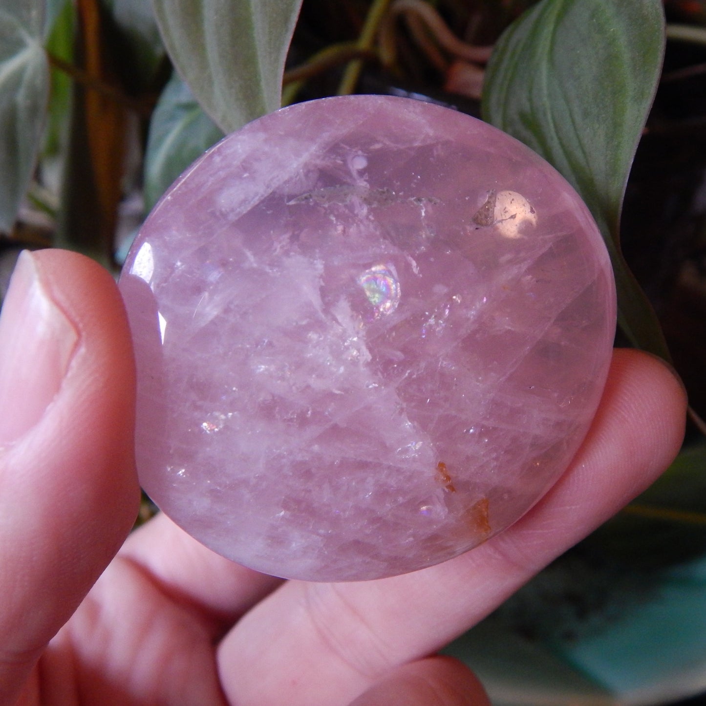 gorgeous super pink rose quartz palm stone with rainbow inclusion