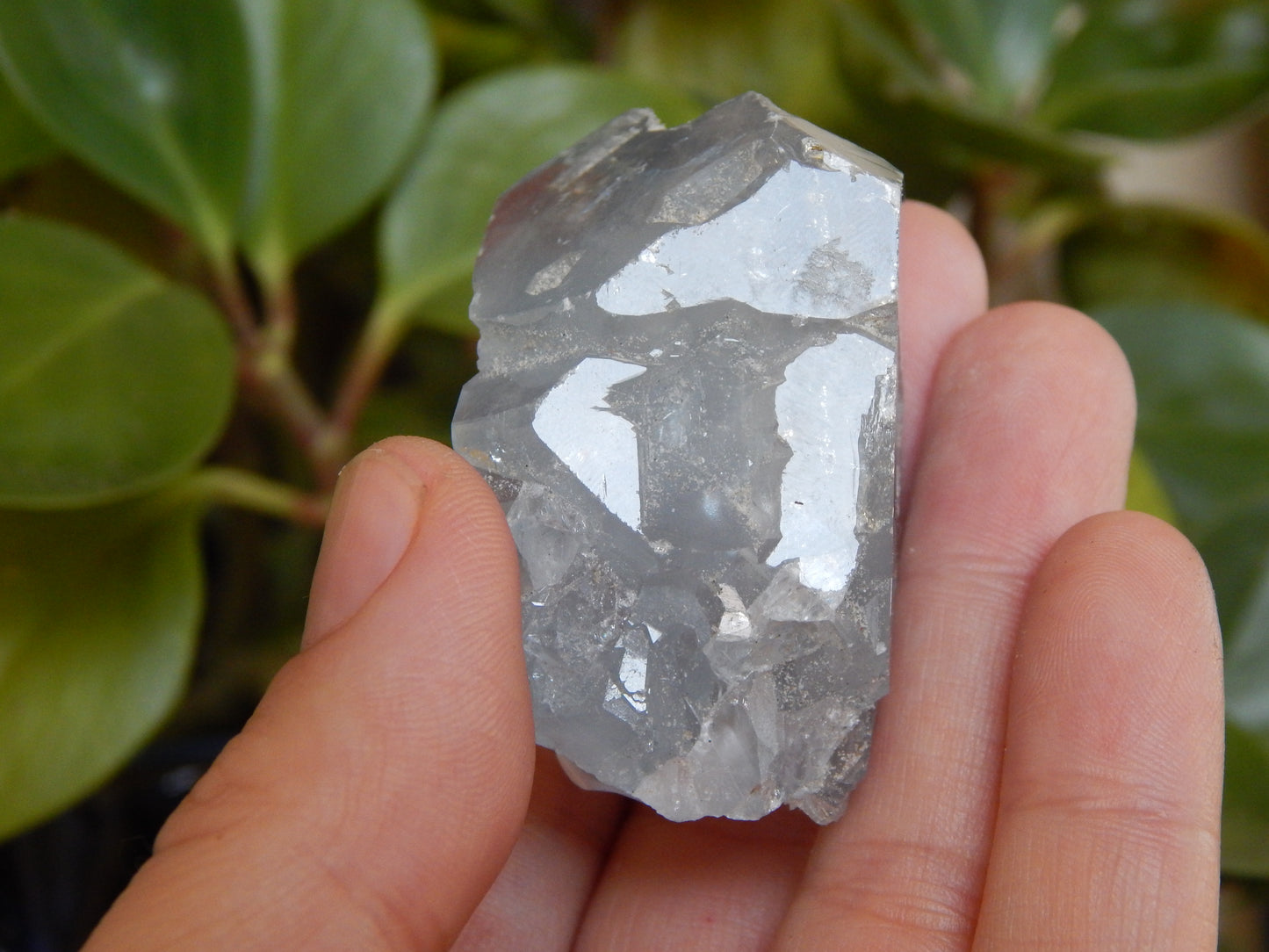 Otherwordly Celestite Termination