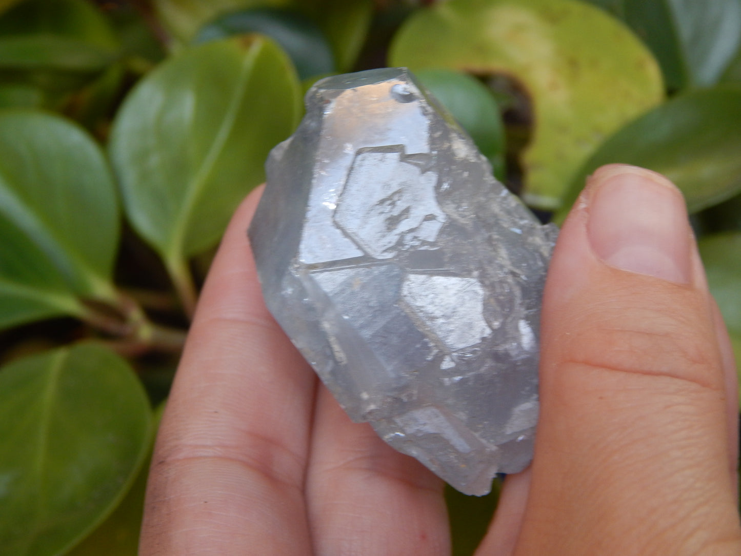 Otherwordly Celestite Termination