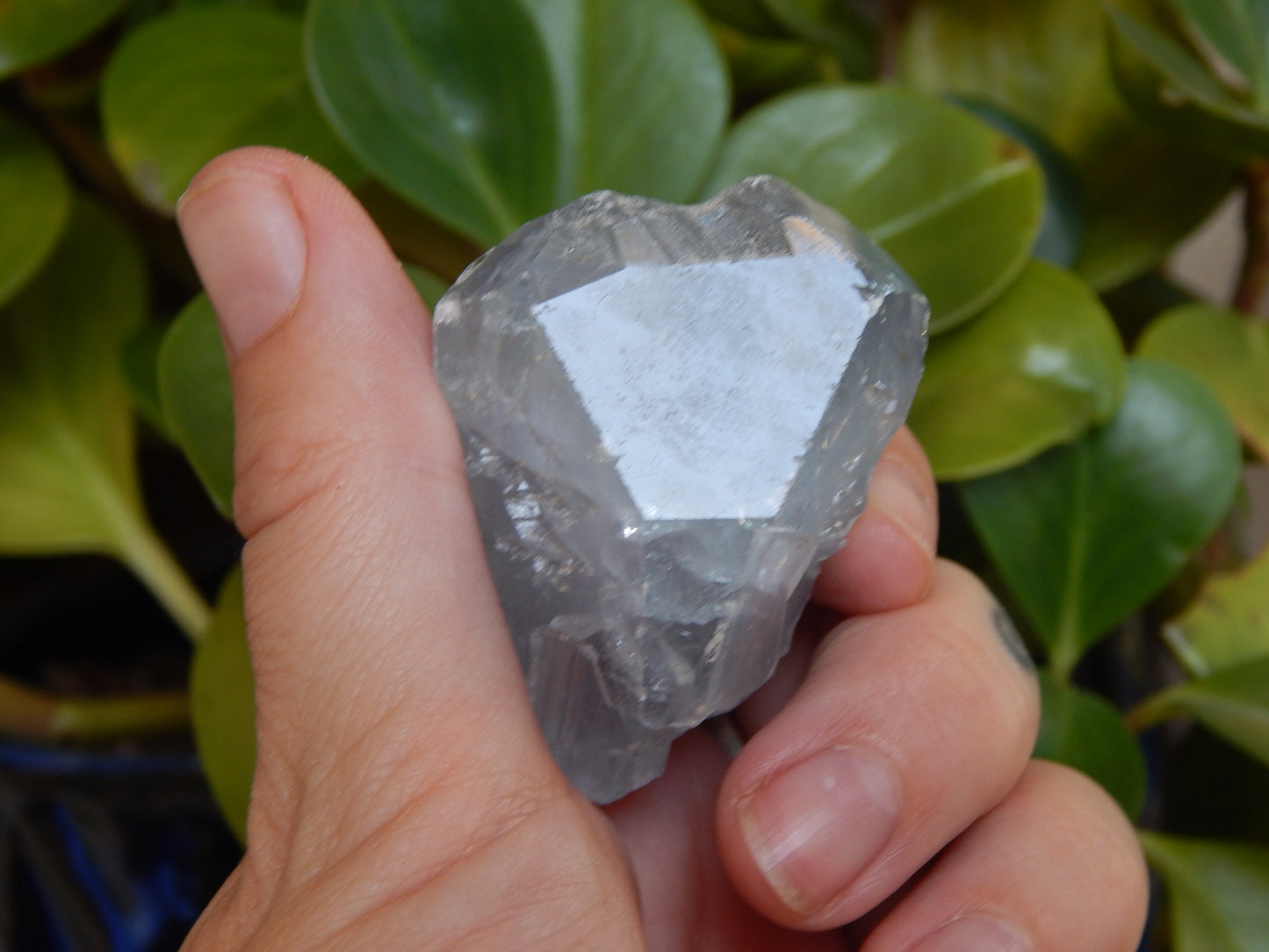 Otherwordly Celestite Termination