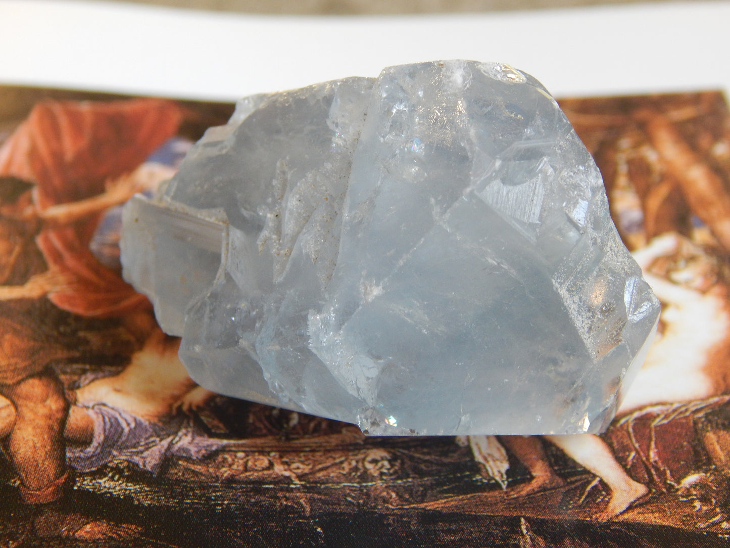 Otherwordly Celestite Termination