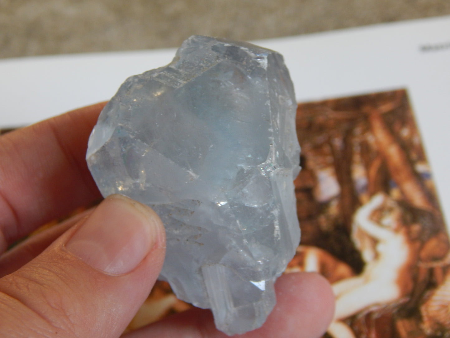 Otherwordly Celestite Termination