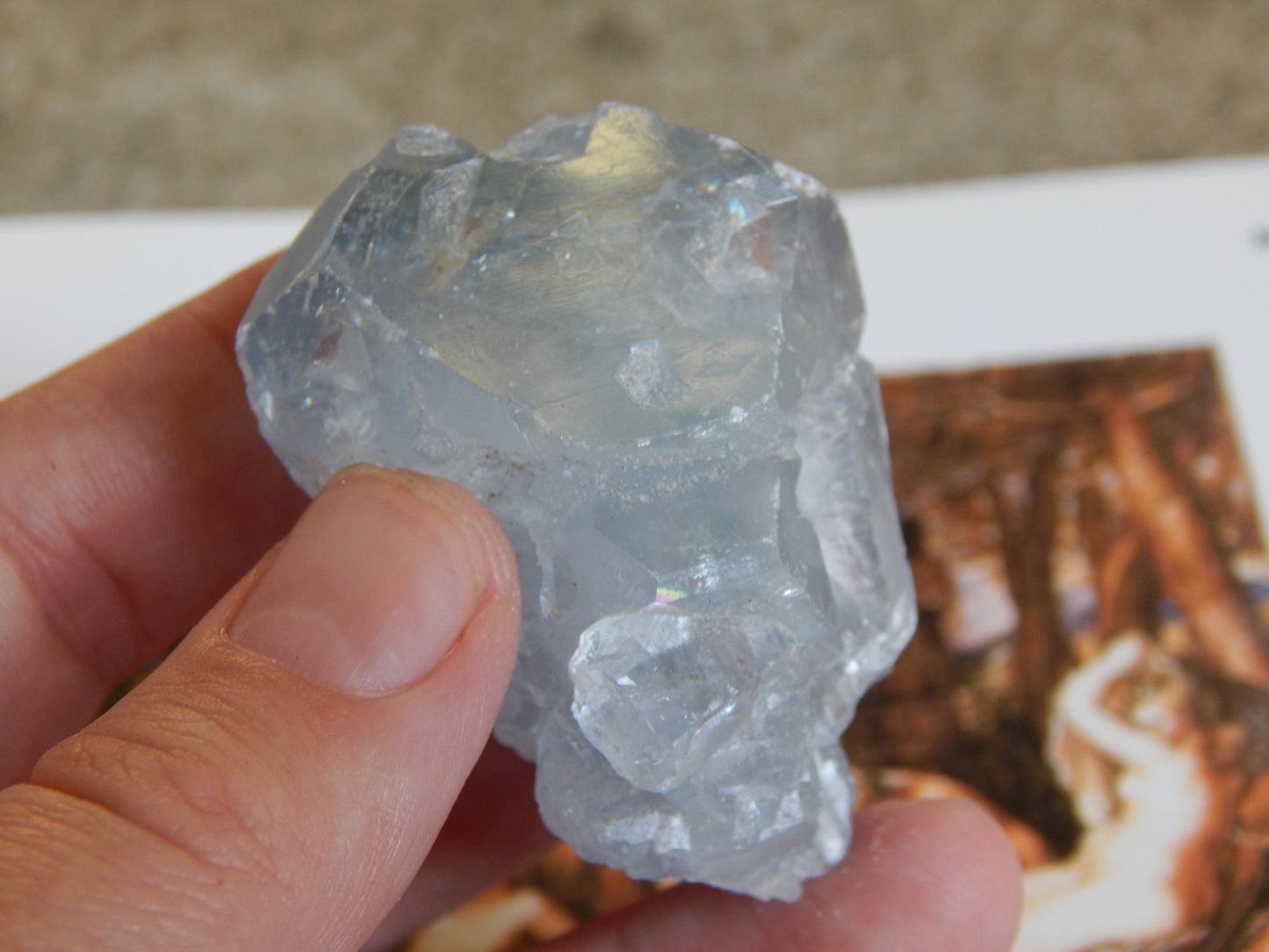Otherwordly Celestite Termination