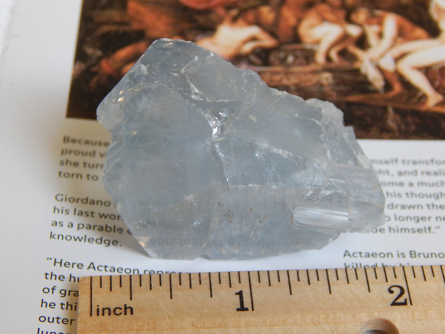 Otherwordly Celestite Termination