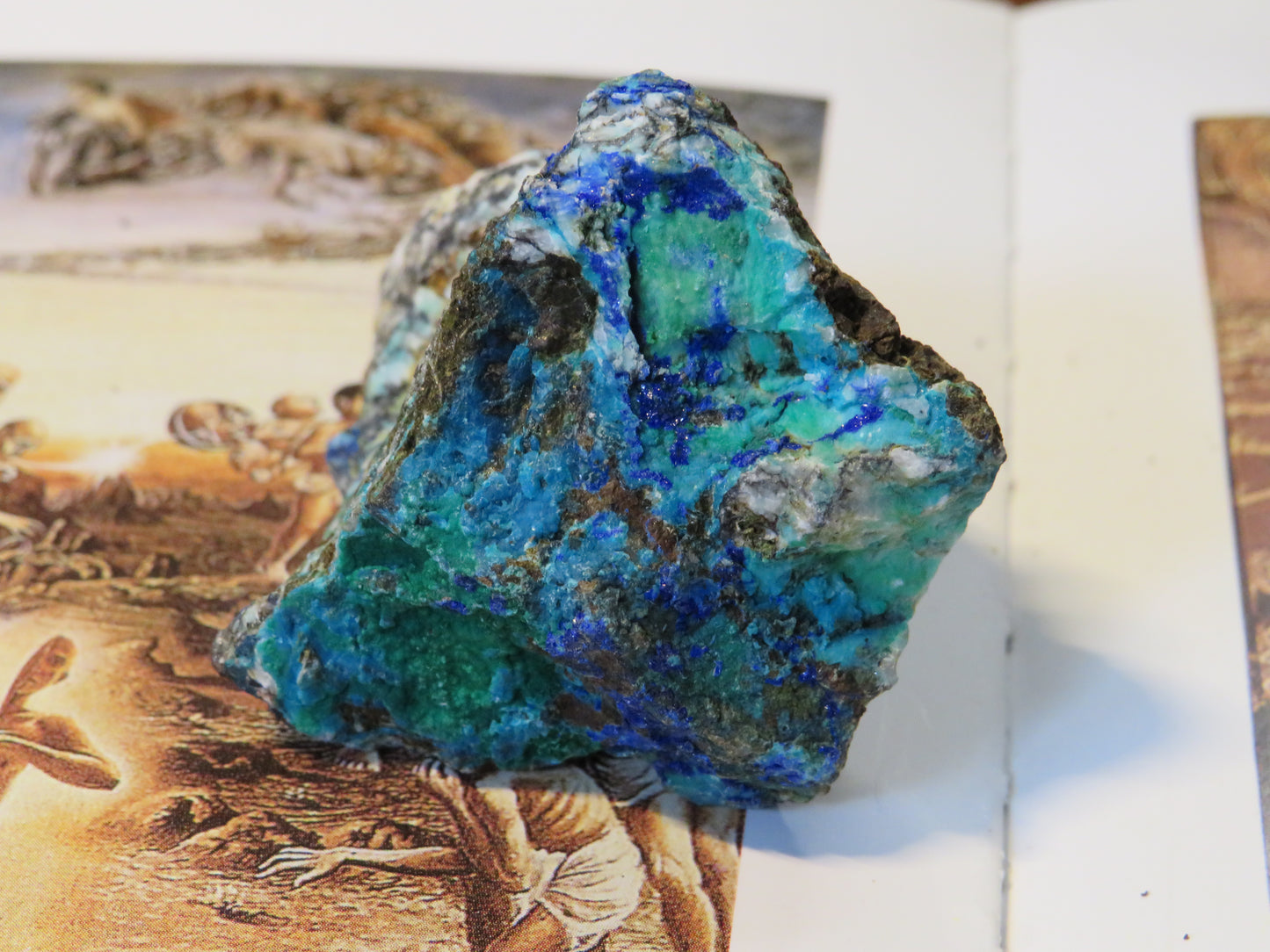 Natural Chrysocolla Specimen