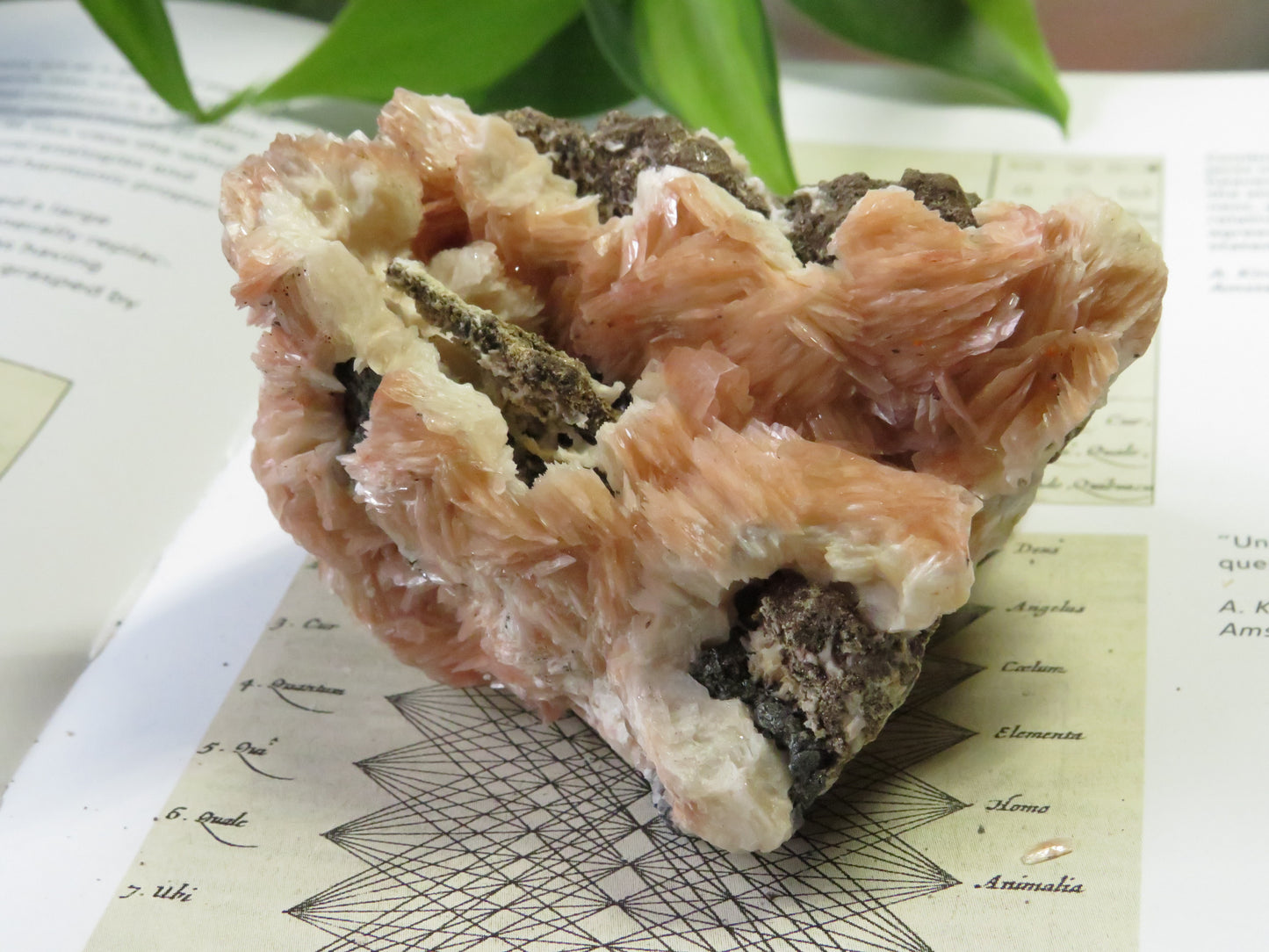 Barite with Galena and Cerussite Cluster