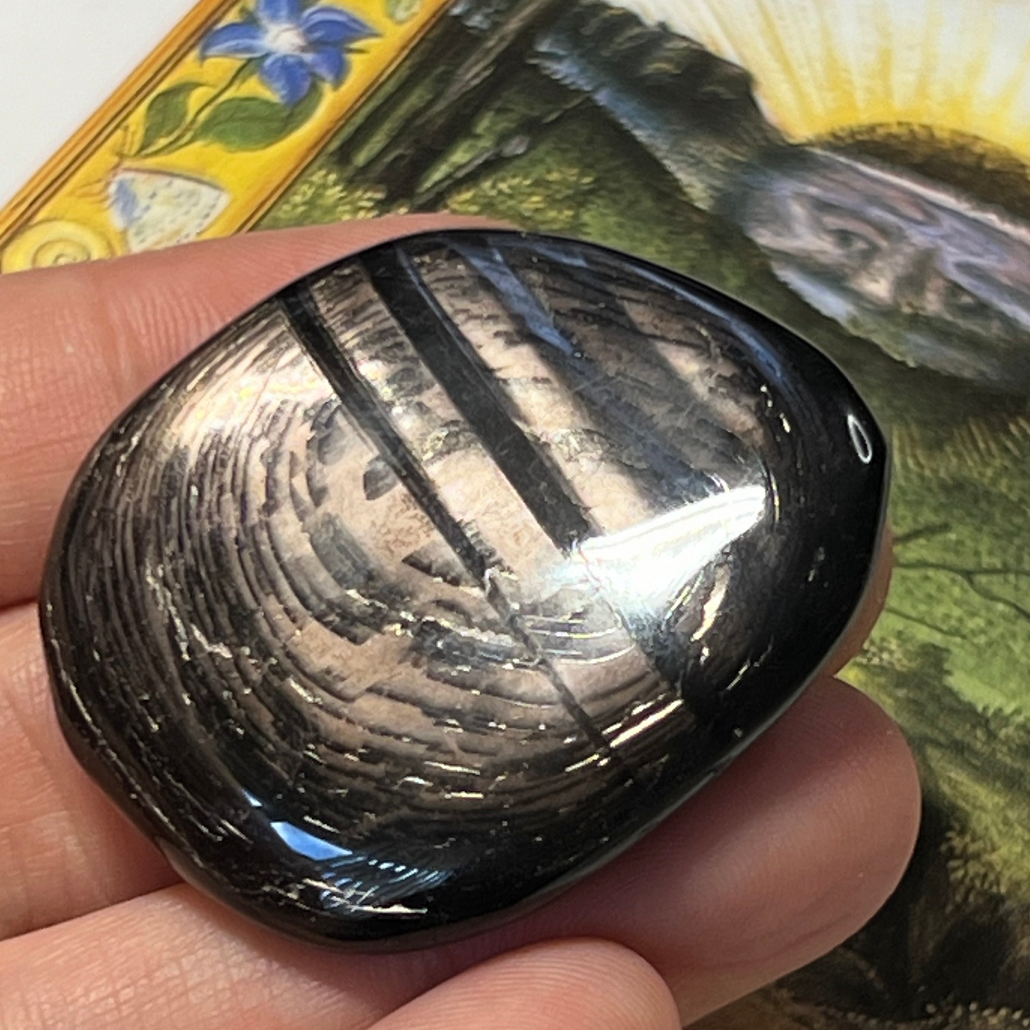 Dazzling Hypersthene Palm Stone