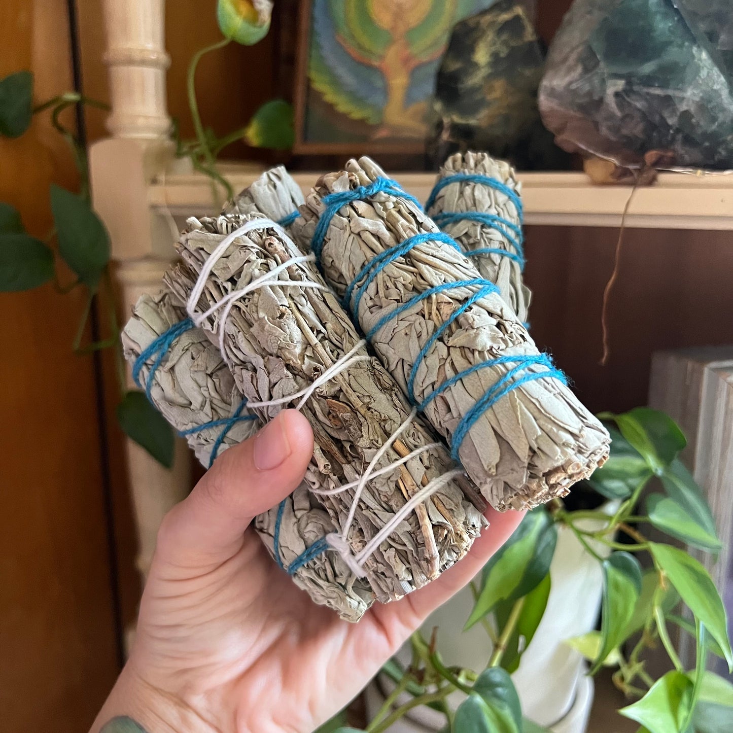 4" White Sage Bundle