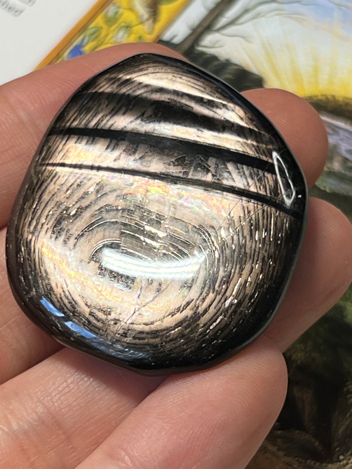 Dazzling Hypersthene Palm Stone