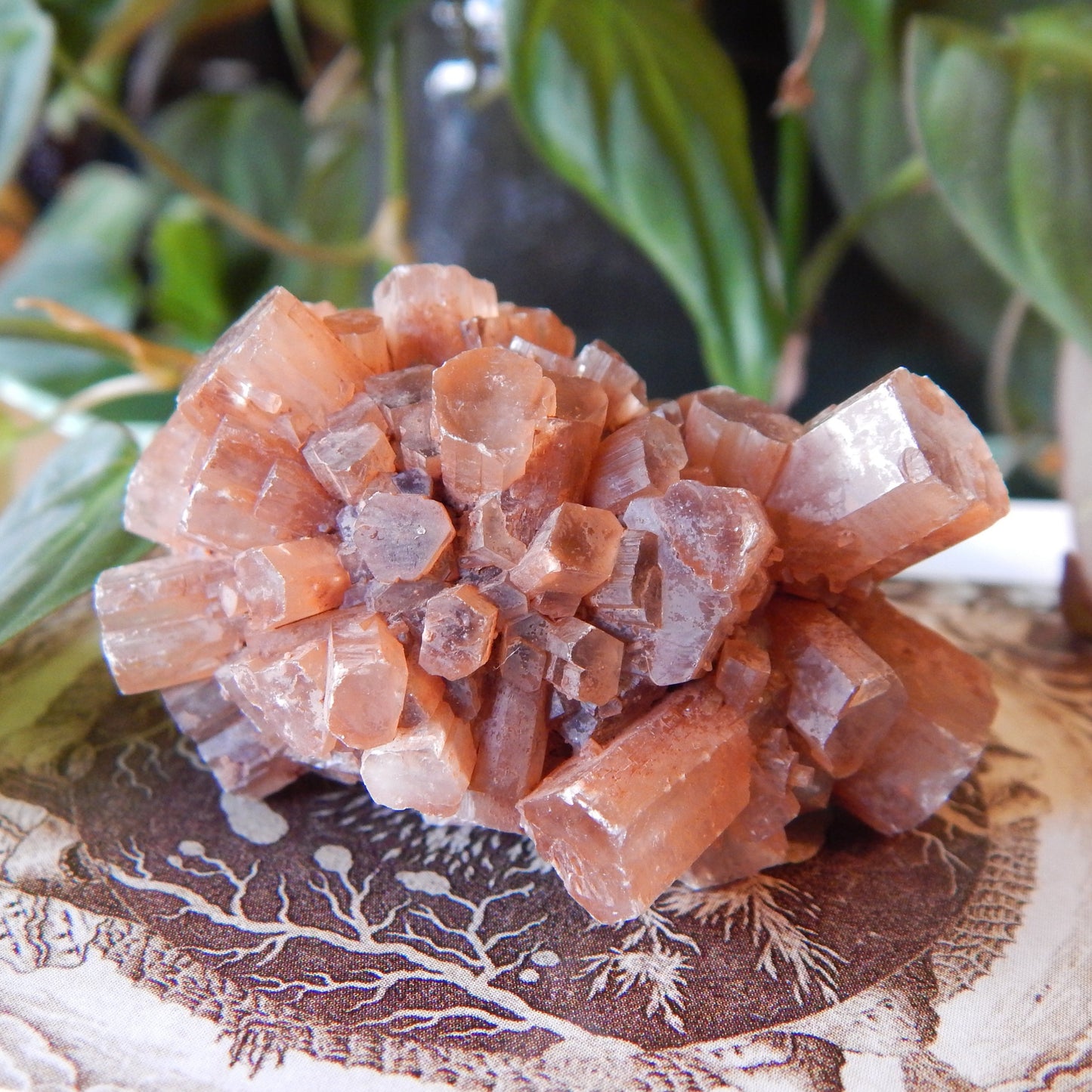 Aragonite Cluster