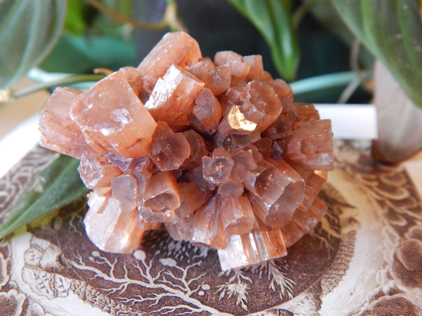 Aragonite Cluster