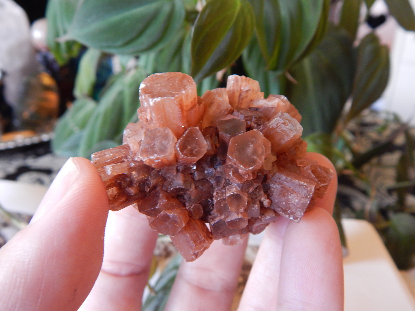 Aragonite Cluster