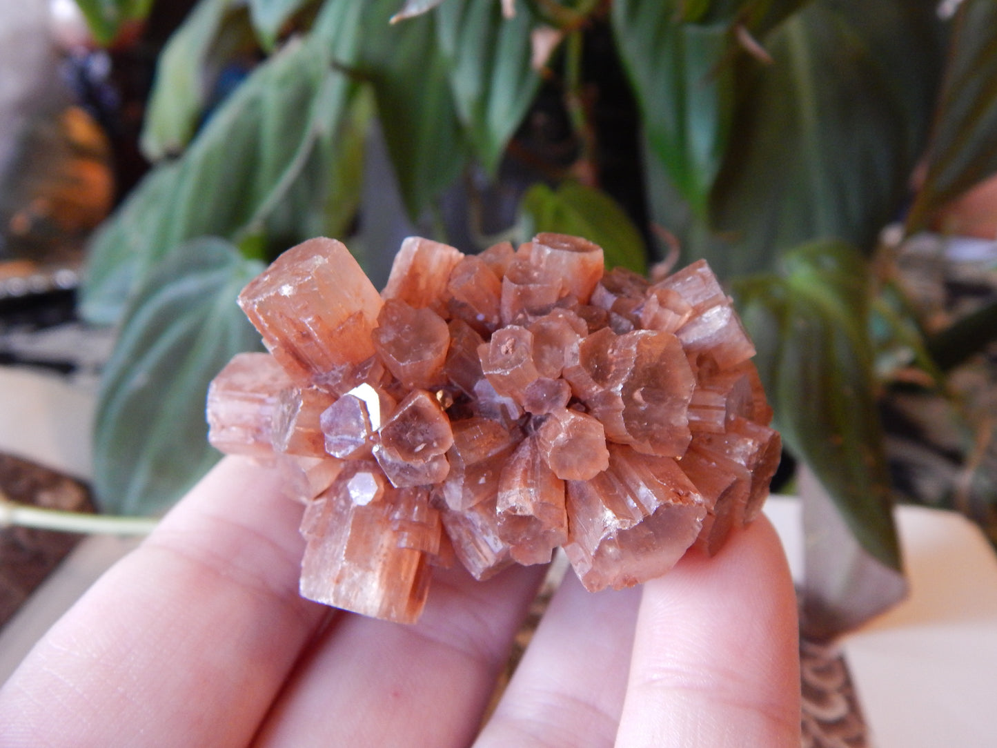 Aragonite Cluster