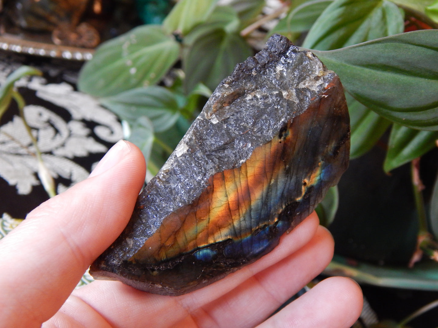 Front Polished Rainbow Labradorite Specimen