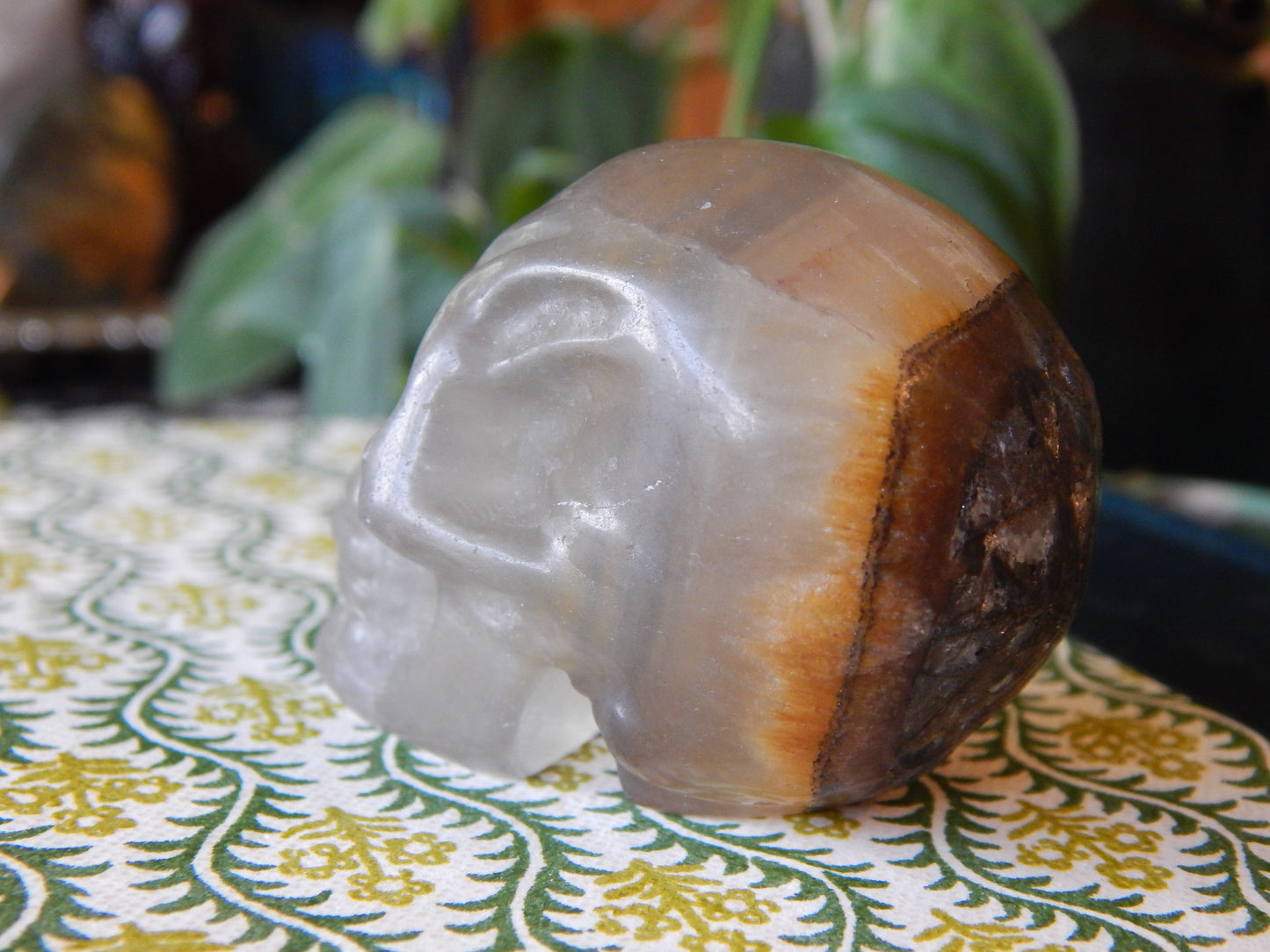 Fluorite Crystal Skull