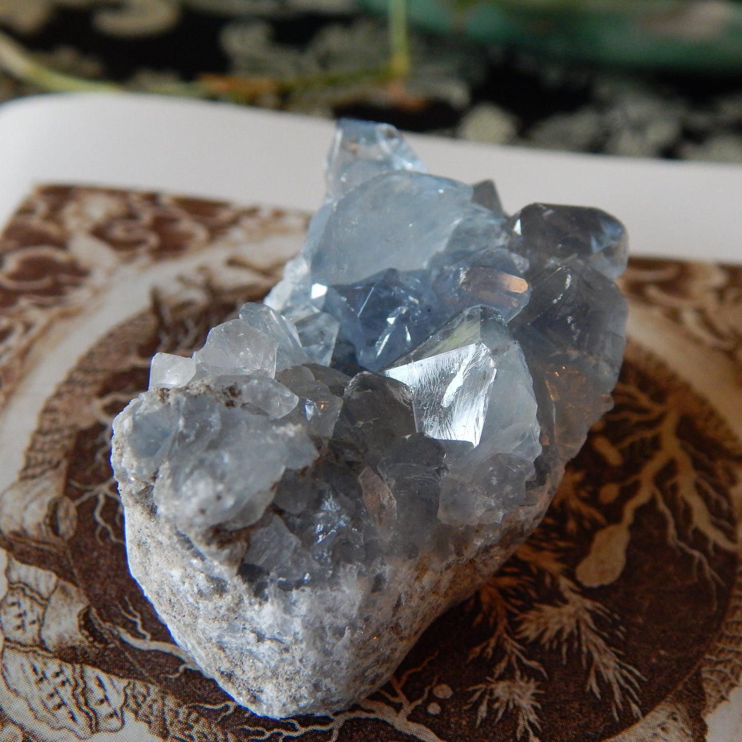 Ancient Blue Celestite Cluster Specimen