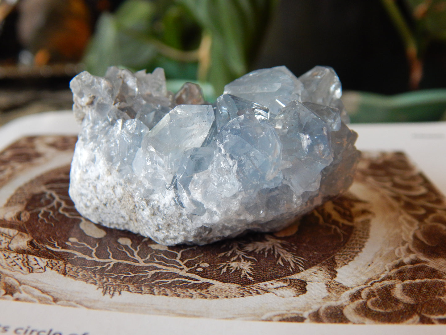 Ancient Blue Celestite Cluster Specimen