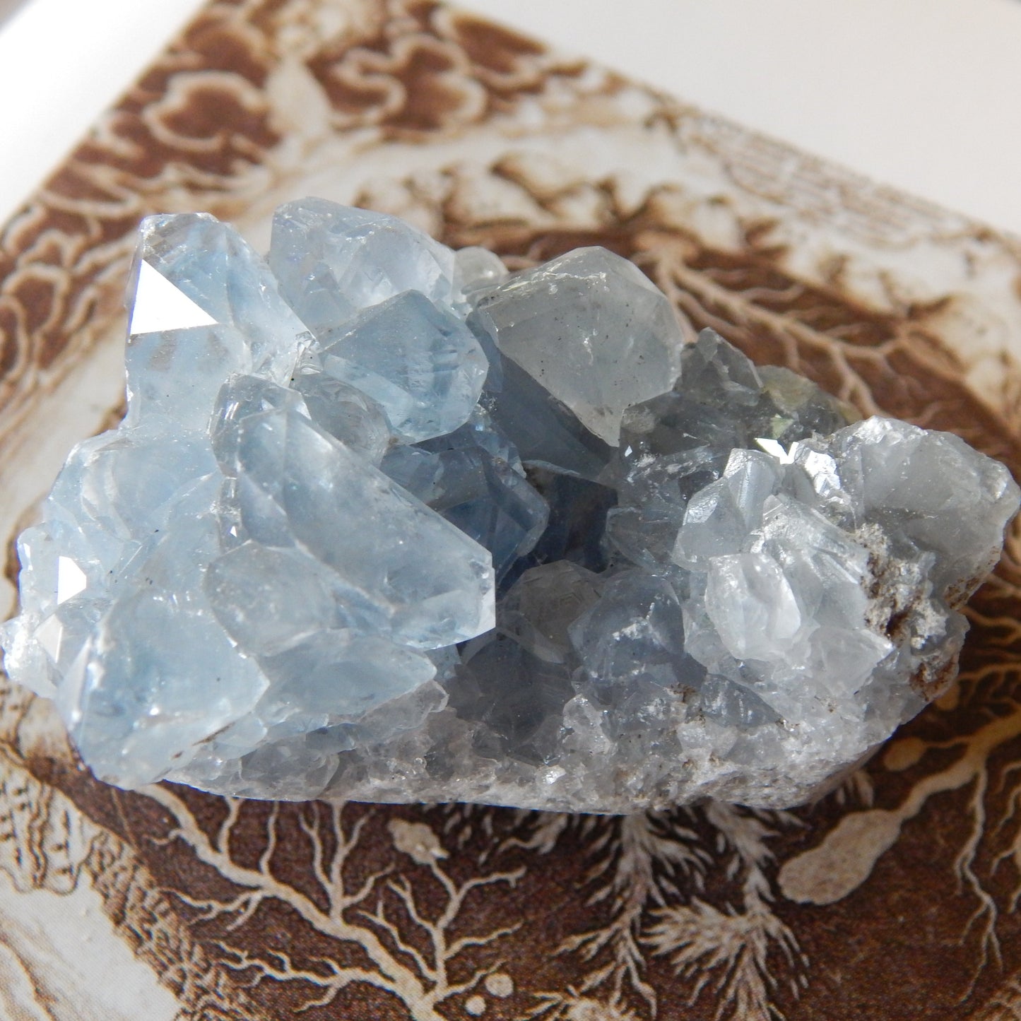 Ancient Blue Celestite Cluster Specimen