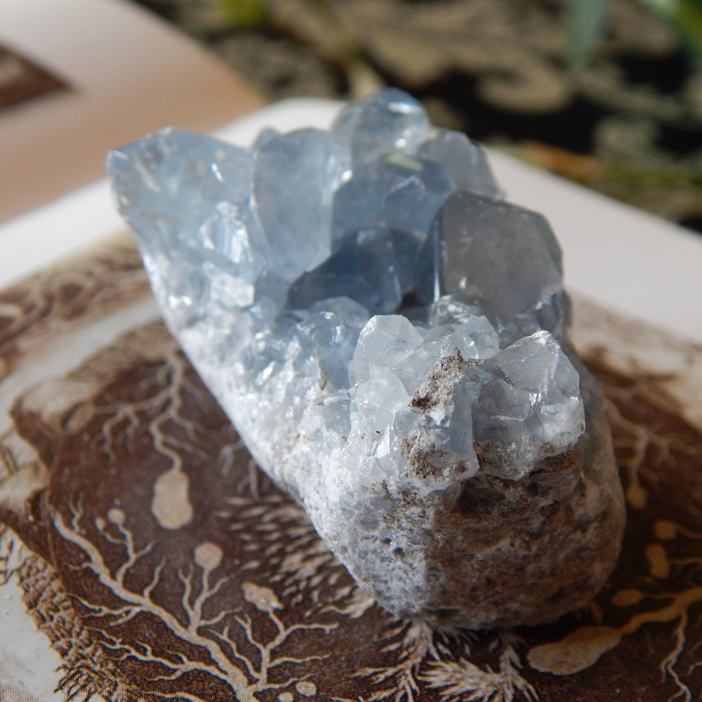 Ancient Blue Celestite Cluster Specimen