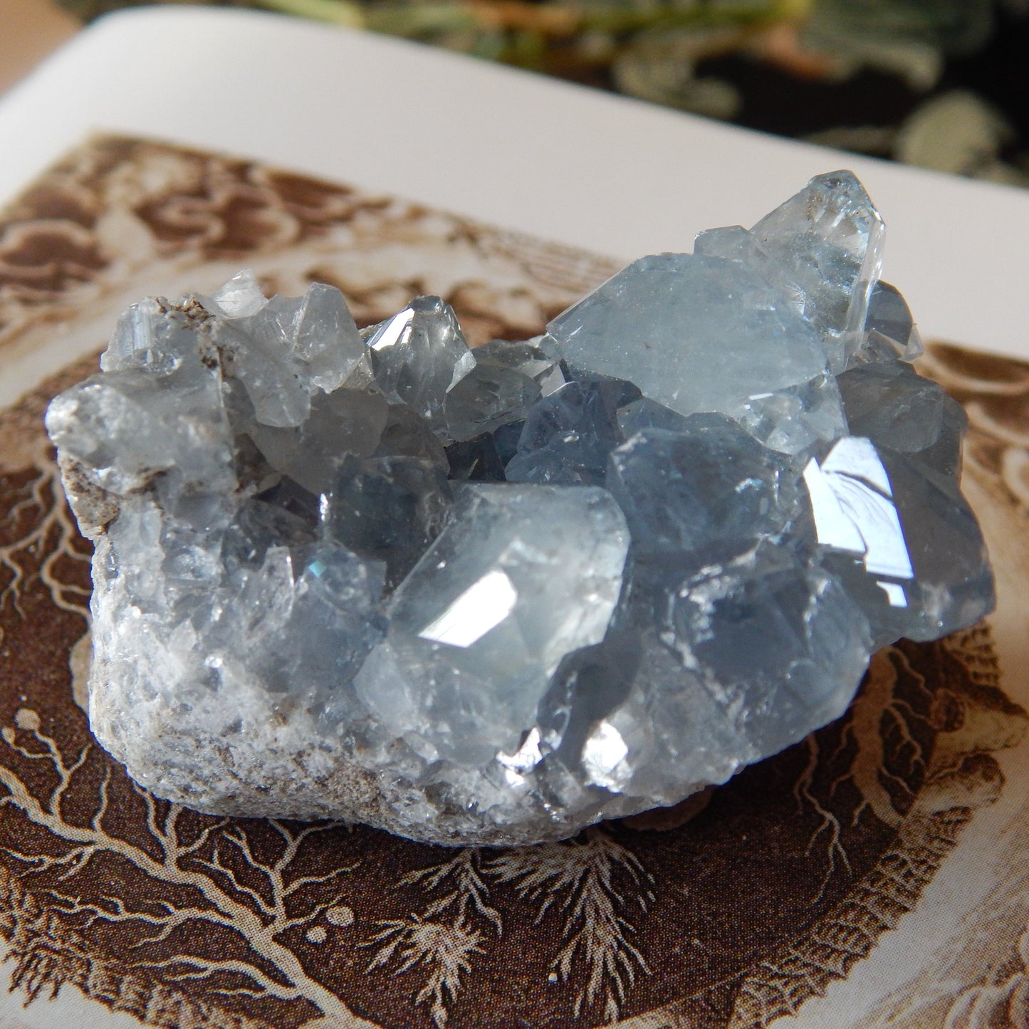 Ancient Blue Celestite Cluster Specimen