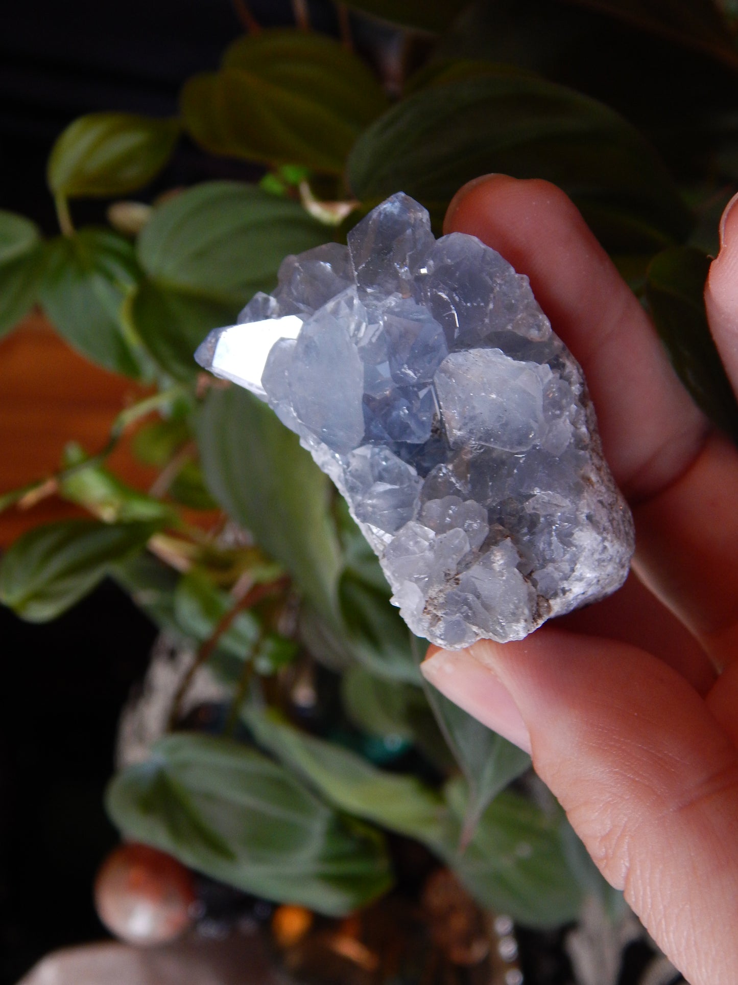 Ancient Blue Celestite Cluster Specimen