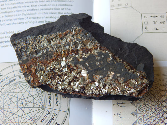 Pyrite on Shungite