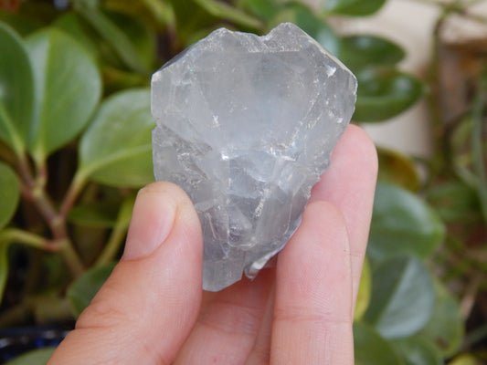 Otherwordly Celestite Termination