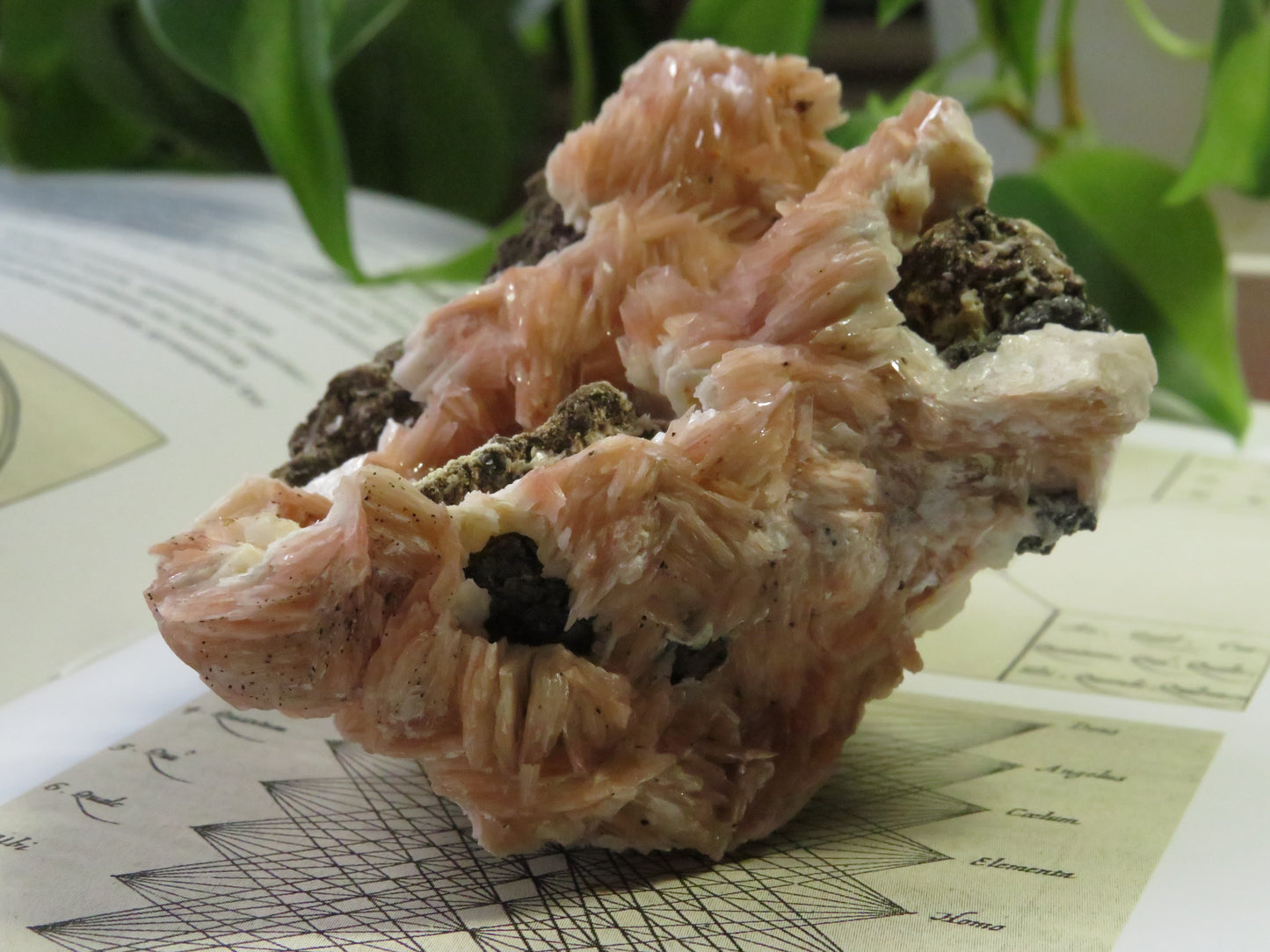 Barite with Galena and Cerussite Cluster