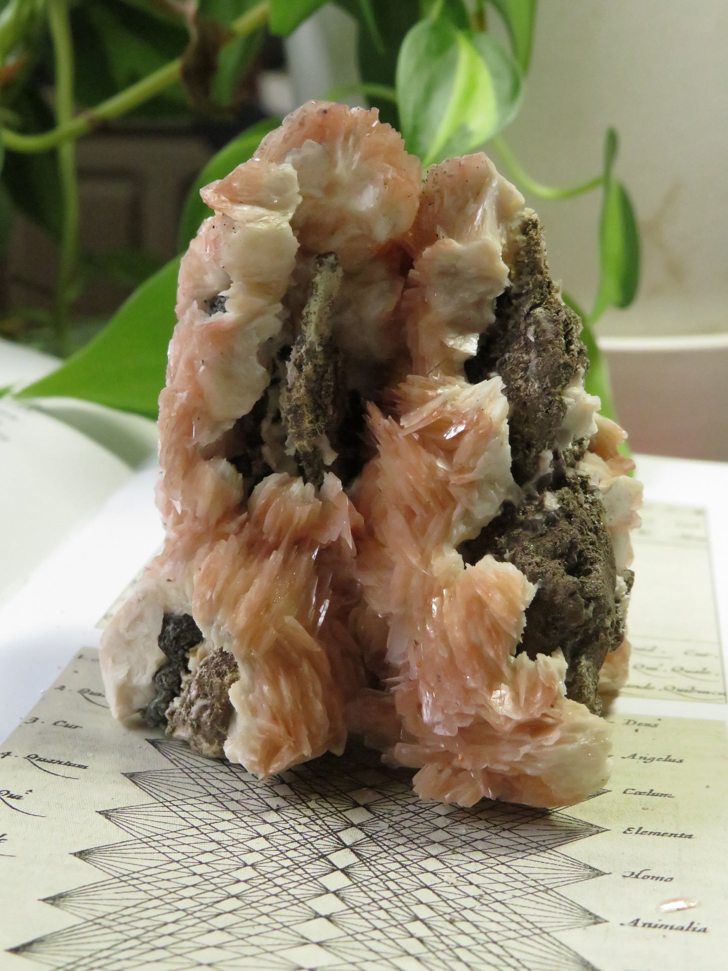 Barite with Galena and Cerussite Cluster