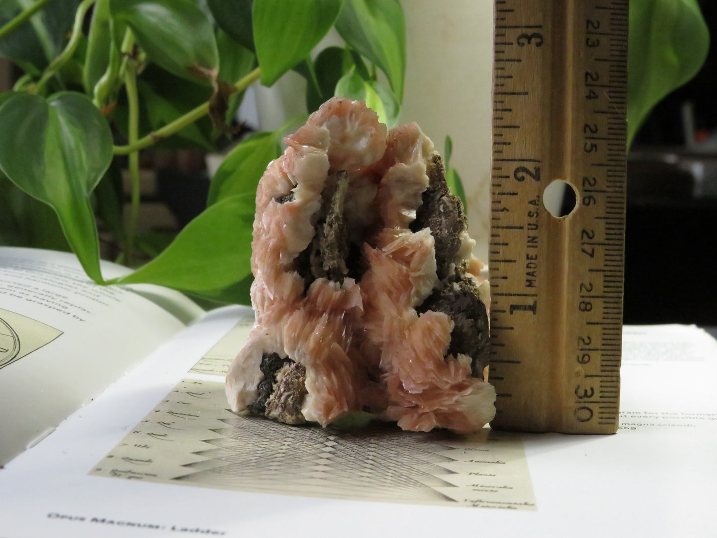 Barite with Galena and Cerussite Cluster