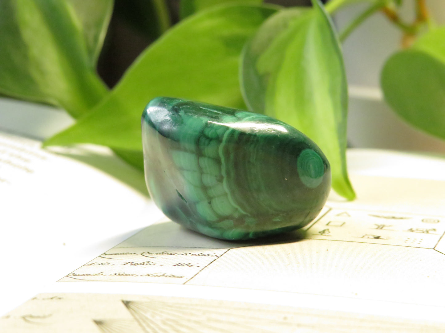 Malachite Tumbled Stone