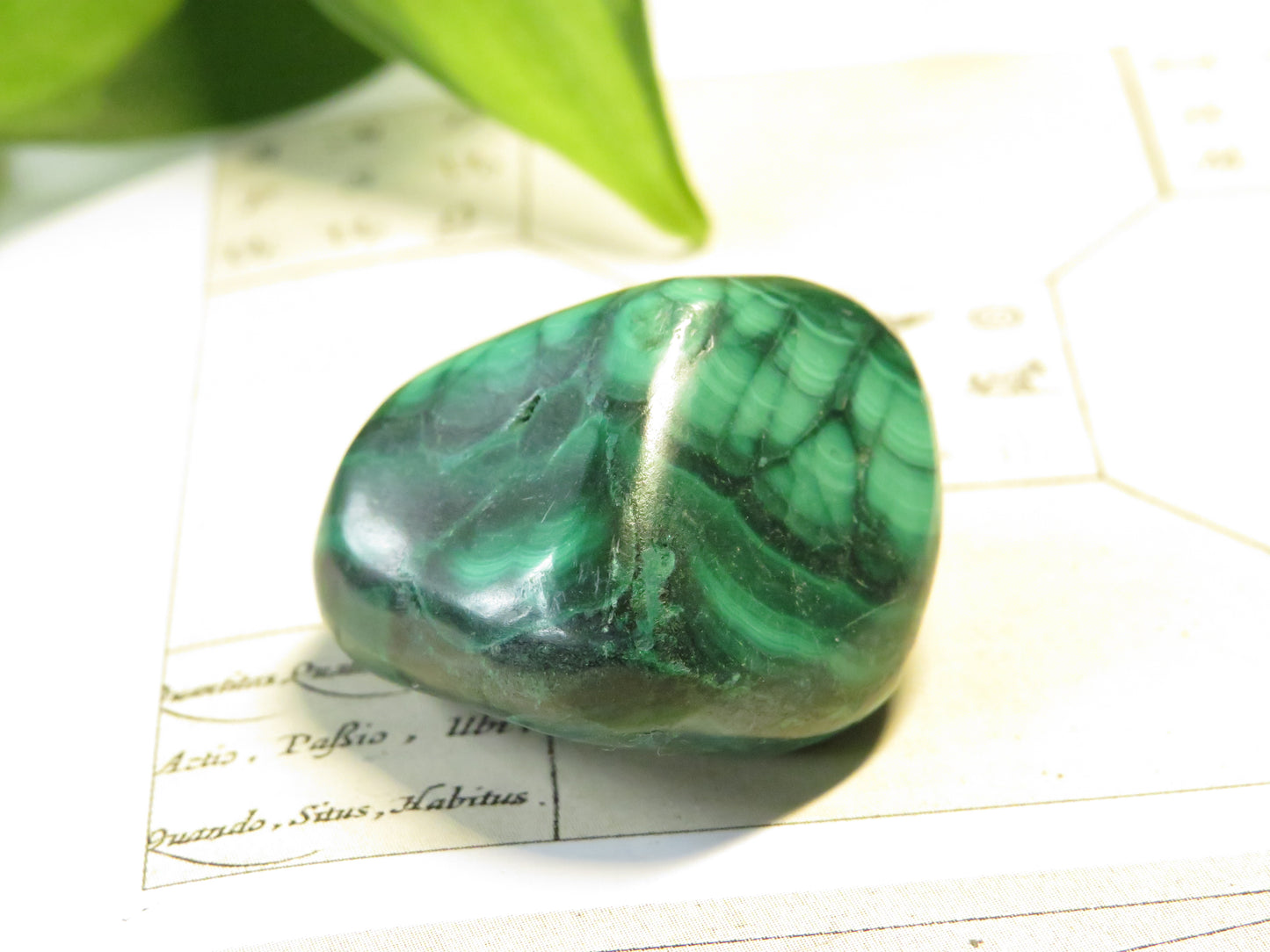 Malachite Tumbled Stone