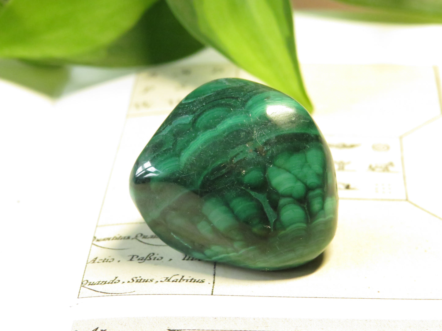 Malachite Tumbled Stone