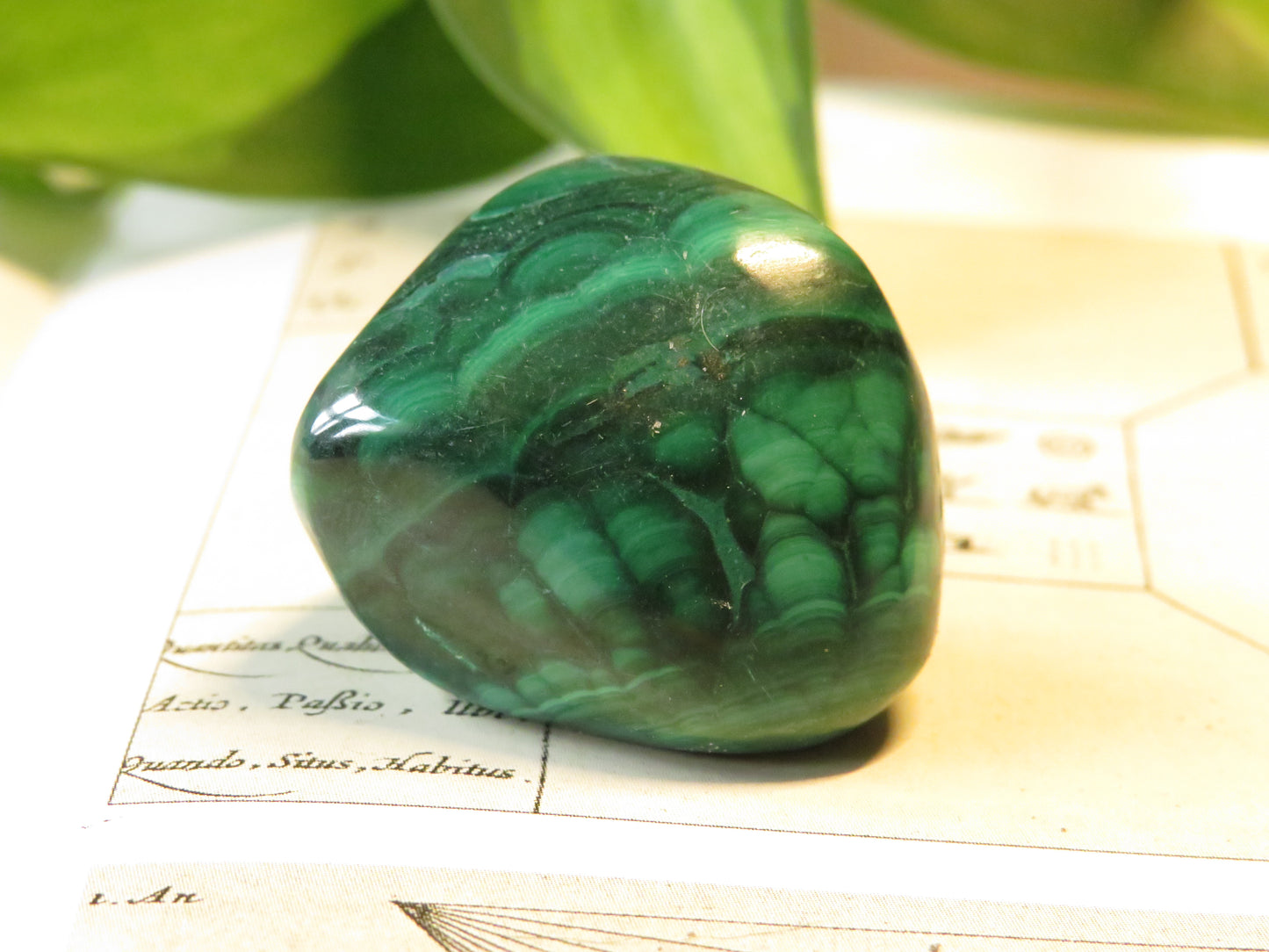 Malachite Tumbled Stone